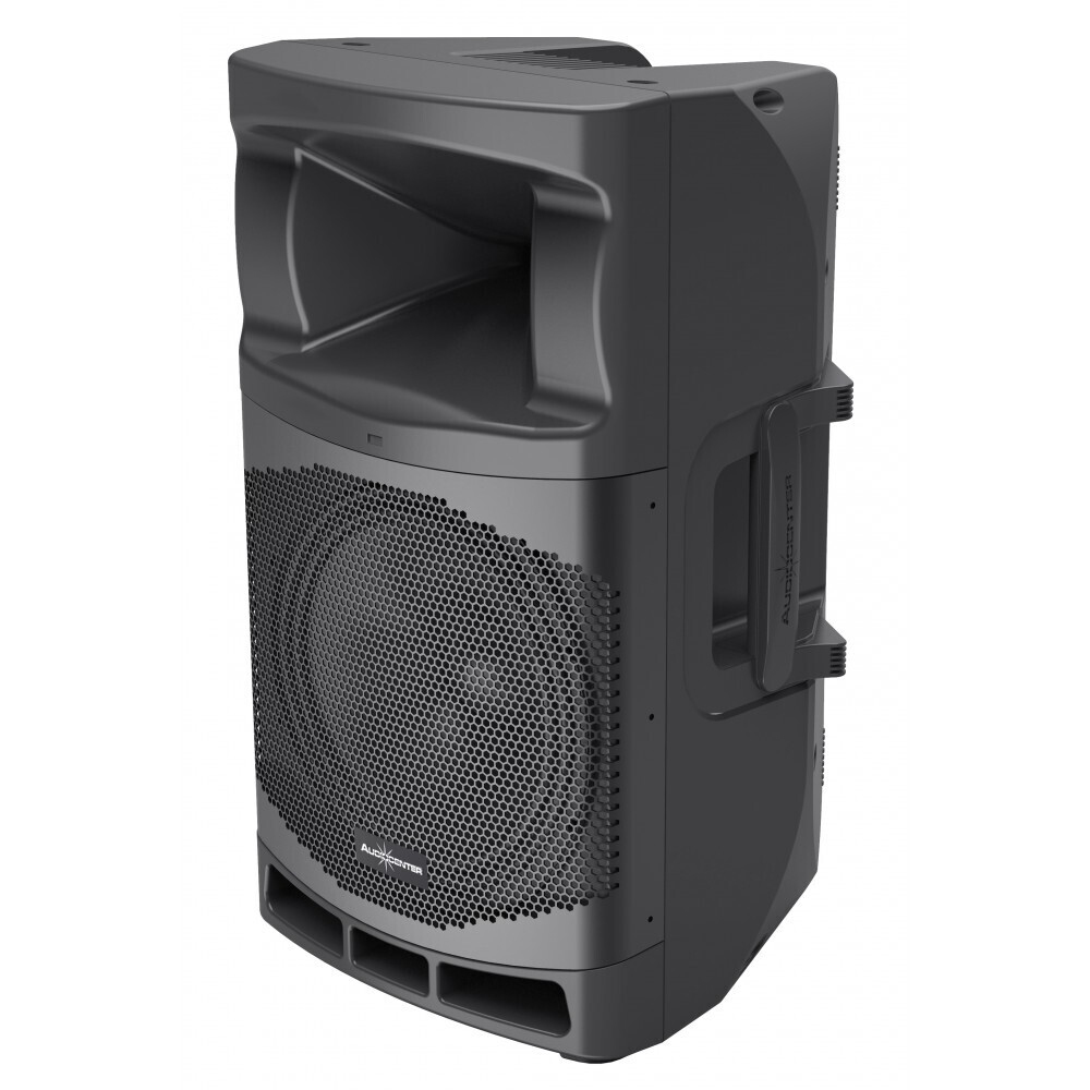 Audiocenter MA12 активная акустическая система в Железногорске