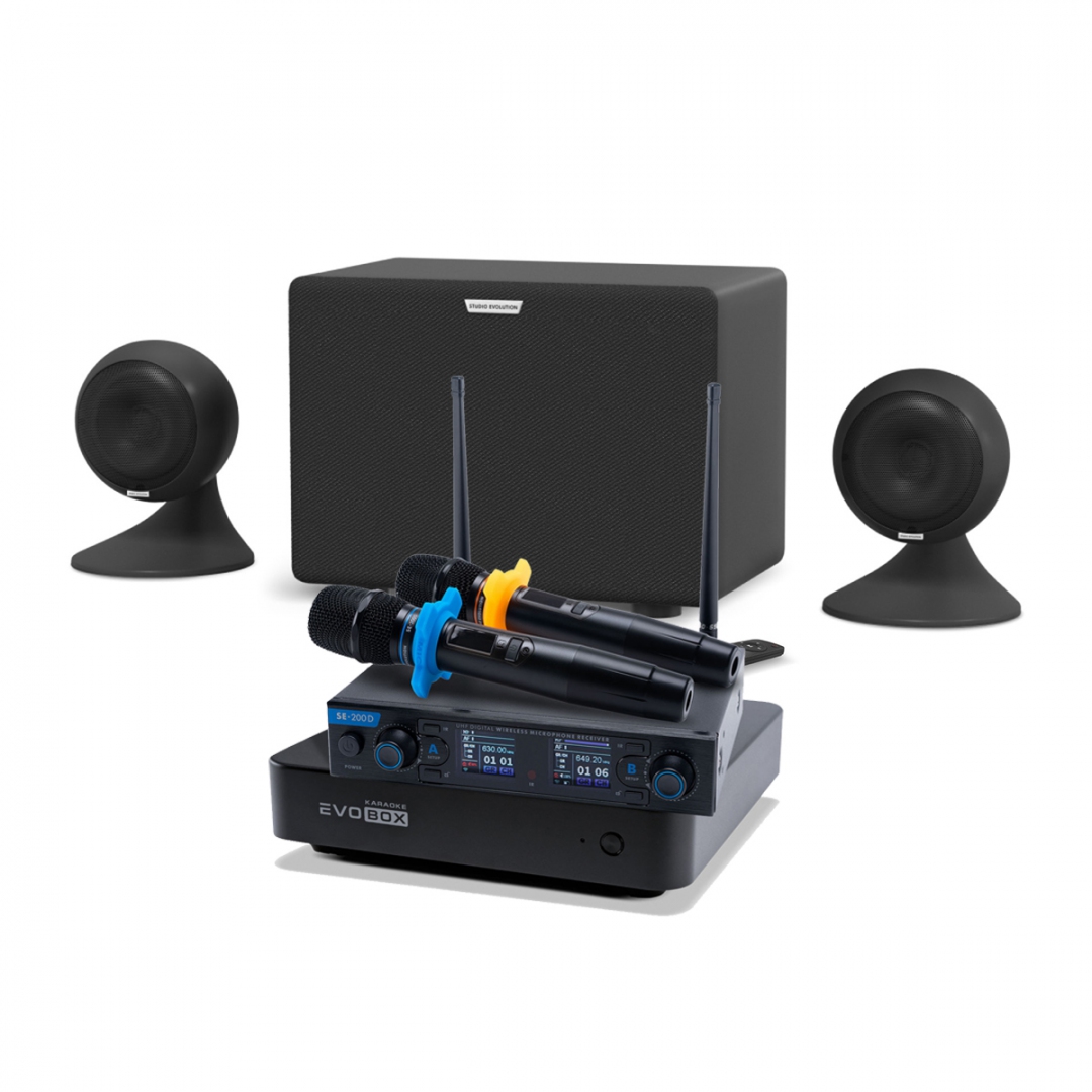 караоке-комплект EVOBOX + EvoSound Sphere 2.1 в Железногорске