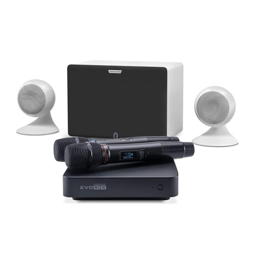 караоке-комплект EVOBOX Classic + EvoSound Sphere 2.1 в Железногорске