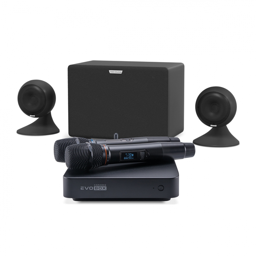 караоке-комплект EVOBOX Plus + EvoSound Sphere 2.1 в Железногорске
