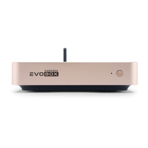 EVOBOX Classic караоке-система для дома в Железногорске