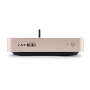 EVOBOX Plus караоке-система для дома в Железногорске