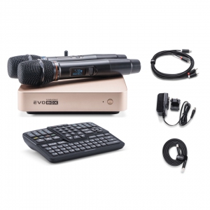 EVOBOX Plus караоке-система для дома в Железногорске