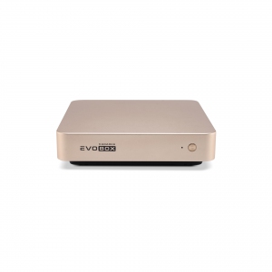 EVOBOX с микрофонами в Железногорске